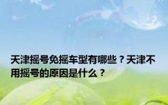 天津摇号免摇车型有哪些？天津不用摇号的原因是什么？