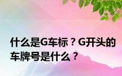 什么是G车标？G开头的车牌号是什么？