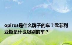 opirus是什么牌子的车？欧菲利亚斯是什么级别的车？