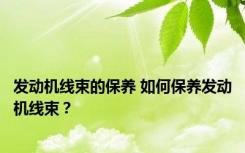 发动机线束的保养 如何保养发动机线束？