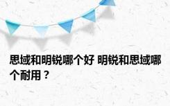 思域和明锐哪个好 明锐和思域哪个耐用？