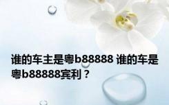 谁的车主是粤b88888 谁的车是粤b88888宾利？