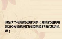 潍柴375电喷发动机水泵（潍柴发动机电喷290发动机可以改装电喷375的发动机吗）