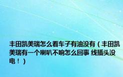 丰田凯美瑞怎么看车子有油没有（丰田凯美瑞有一个喇叭不响怎么回事 线插头没电！）