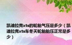 凯迪拉克xts的轮胎气压是多少（凯迪拉克xts车冬天轮胎胎压正常是多少）