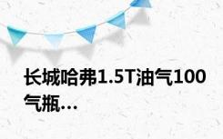 长城哈弗1.5T油气100气瓶…