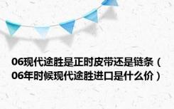 06现代途胜是正时皮带还是链条（06年时候现代途胜进口是什么价）