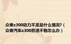 众泰z300动力不足是什么情况?（众泰汽车z300怠速不稳怎么办）