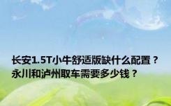 长安1.5T小牛舒适版缺什么配置？永川和泸州取车需要多少钱？