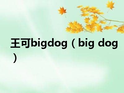 王可bigdog（big dog）