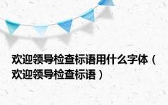 欢迎领导检查标语用什么字体（欢迎领导检查标语）