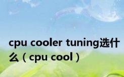 cpu cooler tuning选什么（cpu cool）