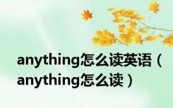 anything怎么读英语（anything怎么读）