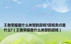 王者荣耀是什么类型的游戏?游戏卖点是什么?（王者荣耀是什么类型的游戏）