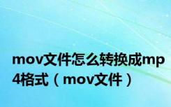 mov文件怎么转换成mp4格式（mov文件）