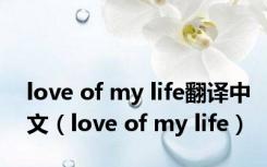 love of my life翻译中文（love of my life）