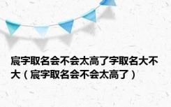 宸字取名会不会太高了字取名大不大（宸字取名会不会太高了）