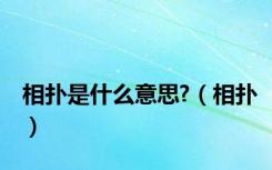 相扑是什么意思?（相扑）