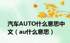 汽车AUTO什么意思中文（au什么意思）