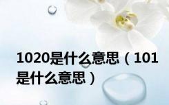 1020是什么意思（101是什么意思）