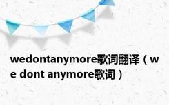 wedontanymore歌词翻译（we dont anymore歌词）