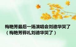 梅艳芳最后一场演唱会刘德华哭了（梅艳芳葬礼刘德华哭了）