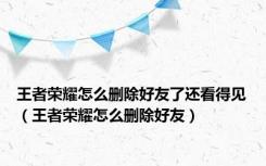 王者荣耀怎么删除好友了还看得见（王者荣耀怎么删除好友）