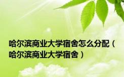 哈尔滨商业大学宿舍怎么分配（哈尔滨商业大学宿舍）