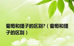 葡萄和提子的区别?（葡萄和提子的区别）