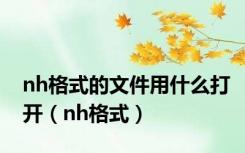 nh格式的文件用什么打开（nh格式）