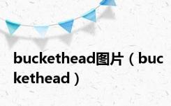 buckethead图片（buckethead）