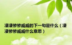 凄凄惨惨戚戚的下一句是什么（凄凄惨惨戚戚什么意思）