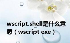 wscript.shell是什么意思（wscript exe）