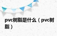 pvc树脂是什么（pvc树脂）