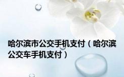 哈尔滨市公交手机支付（哈尔滨公交车手机支付）