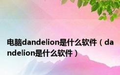 电脑dandelion是什么软件（dandelion是什么软件）