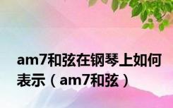 am7和弦在钢琴上如何表示（am7和弦）