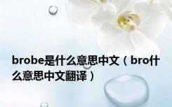 brobe是什么意思中文（bro什么意思中文翻译）