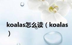 koalas怎么读（koalas）