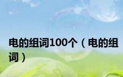 电的组词100个（电的组词）