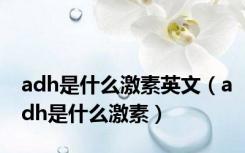 adh是什么激素英文（adh是什么激素）