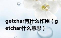 getchar有什么作用（getchar什么意思）