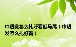 中短发怎么扎好看低马尾（中短发怎么扎好看）