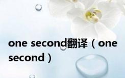 one second翻译（one second）