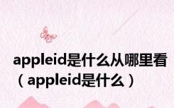 appleid是什么从哪里看（appleid是什么）