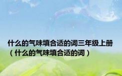 什么的气味填合适的词三年级上册（什么的气味填合适的词）