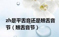 zh是平舌音还是翘舌音节（翘舌音节）