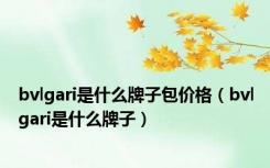 bvlgari是什么牌子包价格（bvlgari是什么牌子）