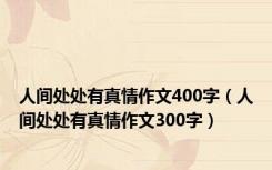 人间处处有真情作文400字（人间处处有真情作文300字）