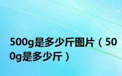 500g是多少斤图片（500g是多少斤）